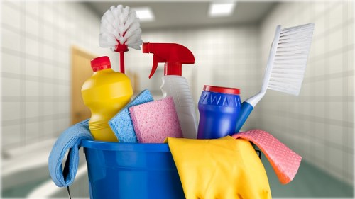 Steam carpet cleaning service for Putney homes with deep fibre extraction