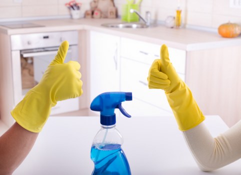 Transparent carpet cleaning pricing for a Putney home