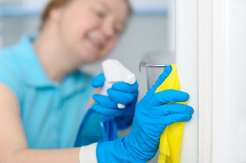 Professional carpet cleaning service for Putney homes