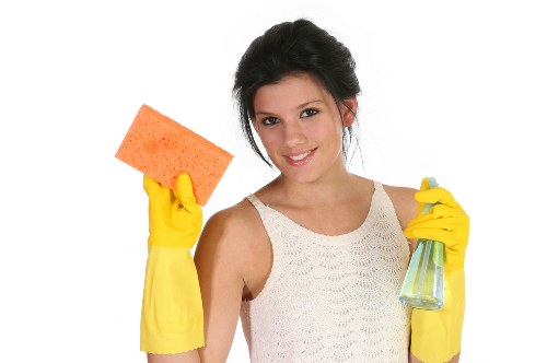 Professional pet stain and odour removal for a carpet in a Putney home