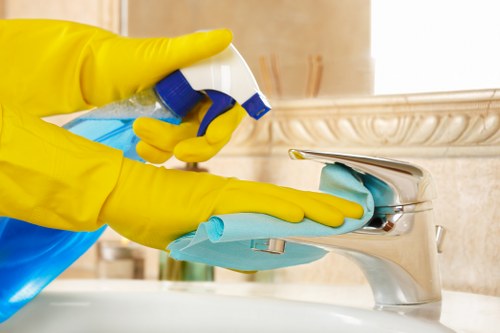 Deep carpet cleaning equipment used in a Putney property