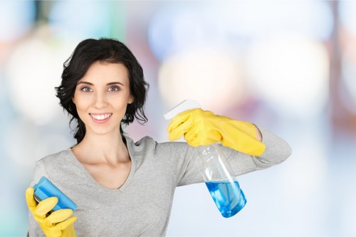 Professional mattress cleaning service for Putney homes