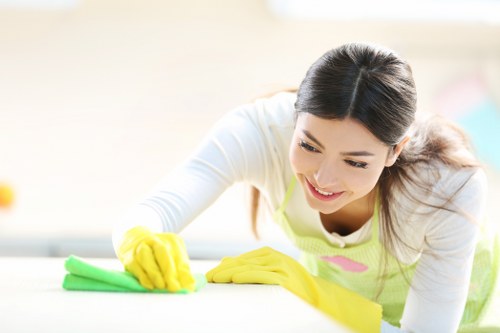 Pet stain removal service for carpets in a Putney flat