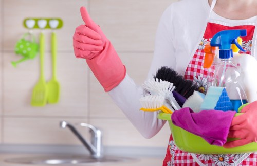 Deep cleaning process for lingering pet odours in a Putney property