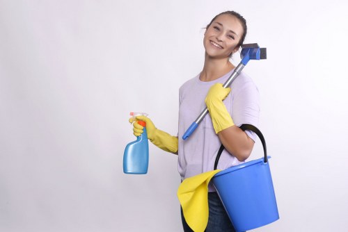 End of tenancy bathroom cleaning in a Putney property