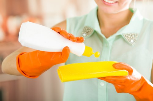 Regular cleaning schedule for Putney properties