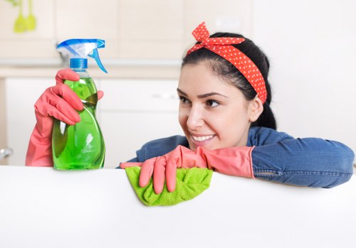 Mattress cleaning for rental properties and homes in Putney