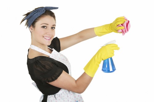 Clean windows and frames on a Putney flat or apartment building