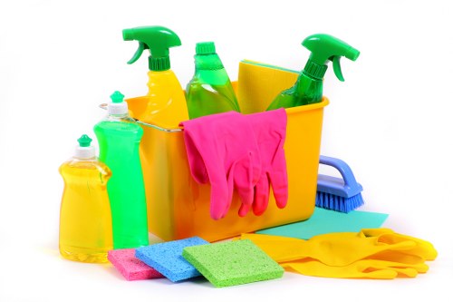 Local cleaner working in a Putney flat