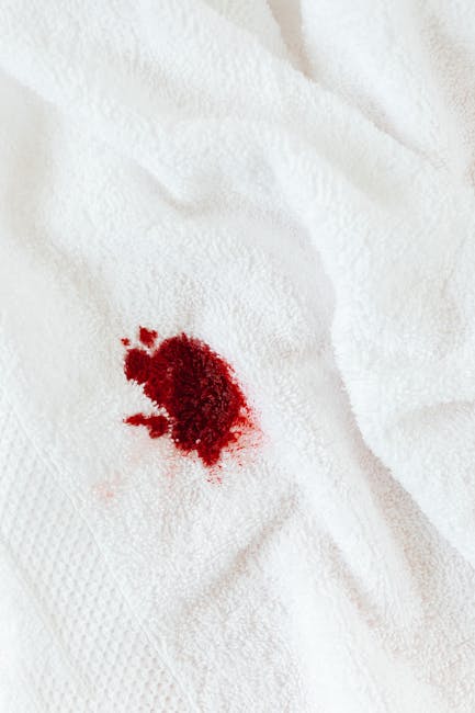 Close-up of a white fabric surface, likely a bedsheet or towel, with a noticeable blood stain positioned in the center-left. The fabric appears soft with a textured, slightly wrinkled appearance, illuminated by soft, natural lighting. No cleaning tools or products are visible in the image. The focus is on the stain, highlighting the importance of stain removal and surface cleaning for hygiene and maintenance, as emphasized by Carpet Cleaning Putney in their domestic cleaning services. The image underscores the need for prompt stain removal in residential settings to maintain cleanliness and sanitation.