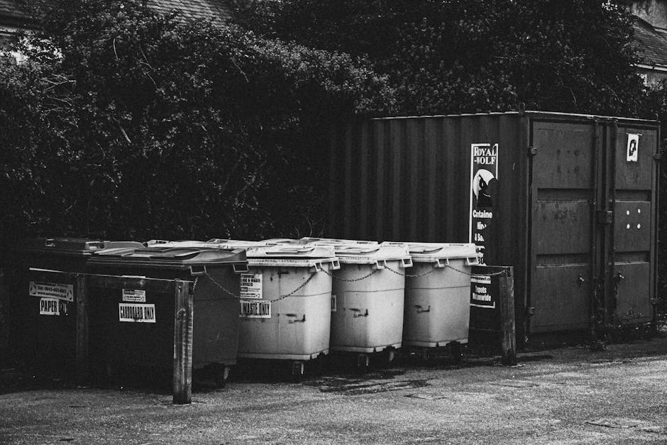 A row of large outdoor waste bins, including black paper recycling bins, white general waste bins, and a large dark container, positioned on a paved surface in front of dense trees and foliage. The bins are securely lidded, with some labels indicating waste types such as 'PAPER' and 'FIBERBOARD ONLY'. The area appears clean and well-organized, with natural lighting highlighting the surfaces. This scene reflects typical waste management and surface cleaning practices associated with domestic cleaning and waste disposal regulations outlined by Wandsworth Council, as covered by Carpet Cleaning Putney in their guidance on carpet waste and recycling rules.